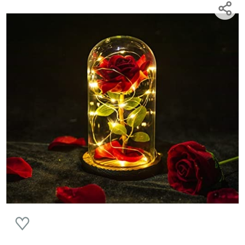 Beauty and the Beast Rose
